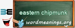 WordMeaning blackboard for eastern chipmunk